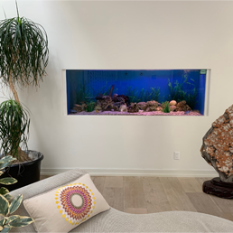 Aquarium in the Living Room