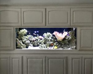 Aquarium in a Cabinet