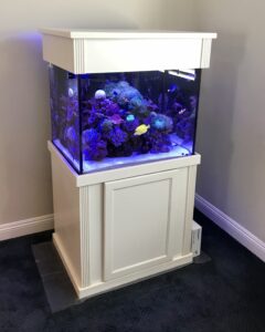 Aquarium on a White Stand